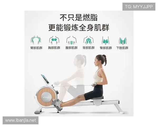 高端家用健身设备与基础款选购对比分析